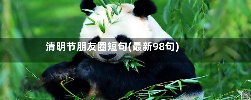 清明节朋友圈短句(最新98句)