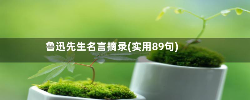 鲁迅先生名言摘录(实用89句)