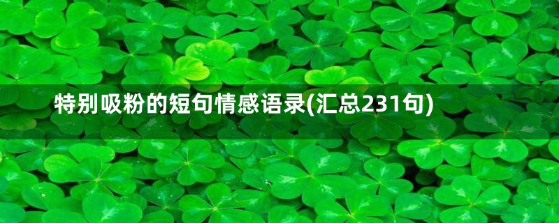 特别吸粉的短句情感语录(汇总231句)