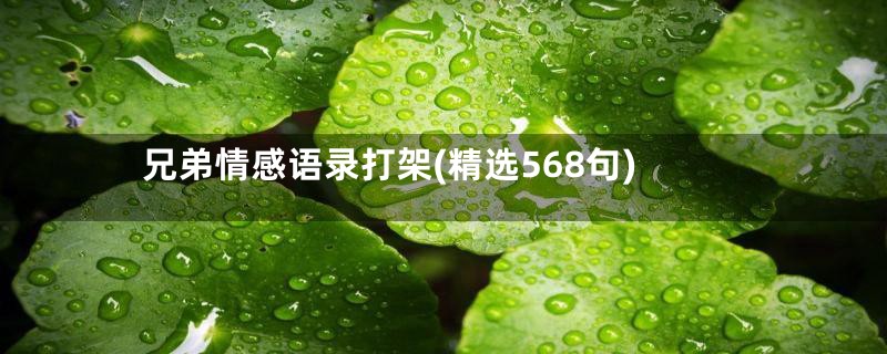 兄弟情感语录打架(精选568句)