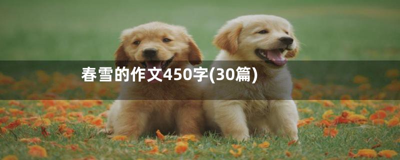 春雪的作文450字(30篇)