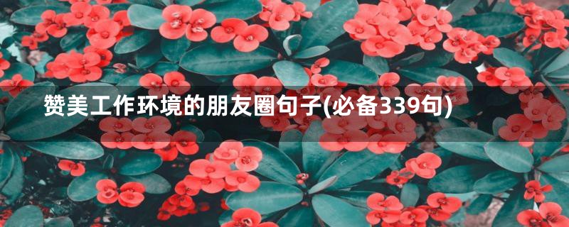 赞美工作环境的朋友圈句子(必备339句)