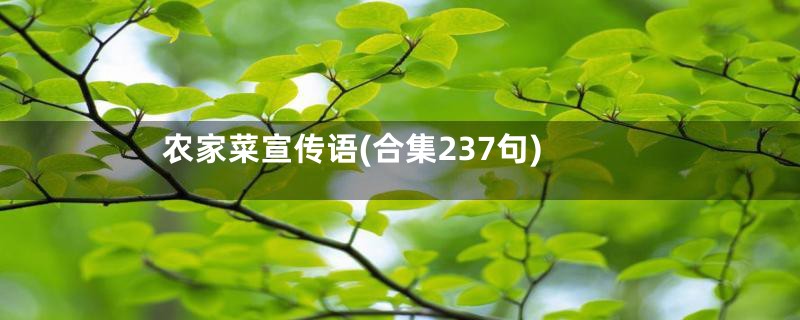 农家菜宣传语(合集237句)