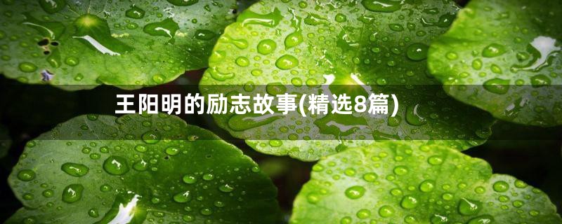 王阳明的励志故事(精选8篇)