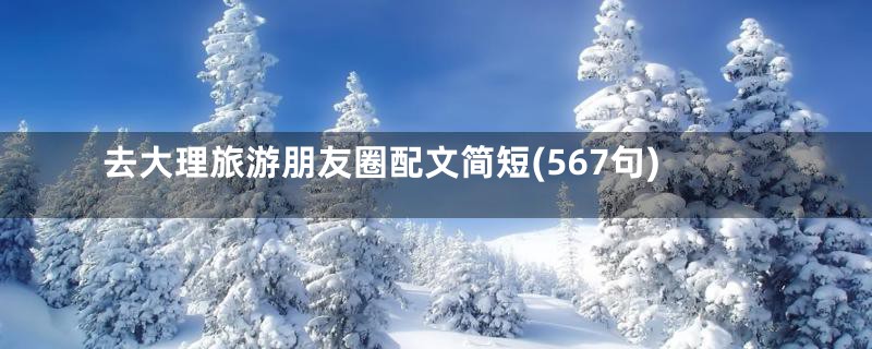 去大理旅游朋友圈配文简短(567句)