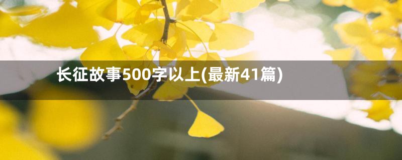 长征故事500字以上(最新41篇)