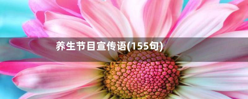 养生节目宣传语(155句)