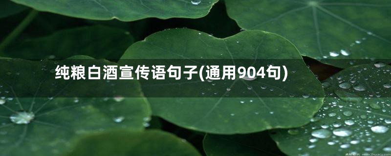 纯粮白酒宣传语句子(通用904句)