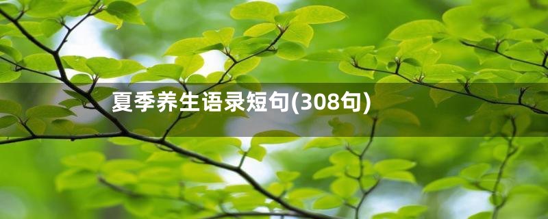 夏季养生语录短句(308句)