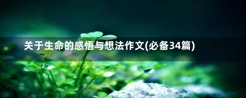 关于生命的感悟与想法作文(必备34篇)