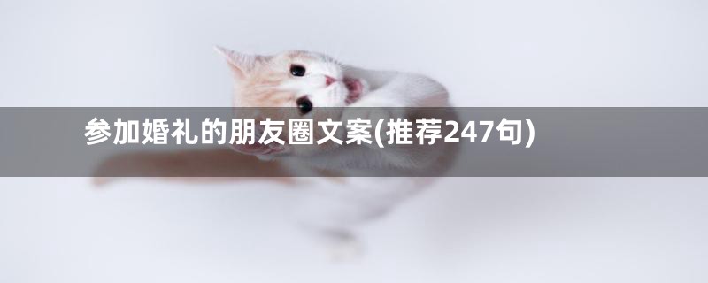 参加婚礼的朋友圈文案(推荐247句)