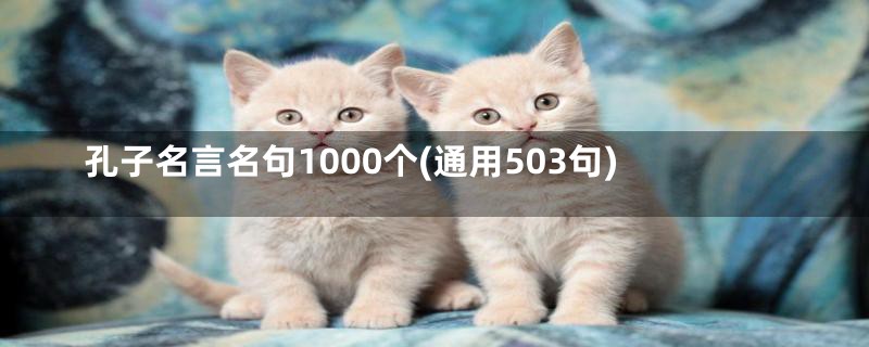 孔子名言名句1000个(通用503句)