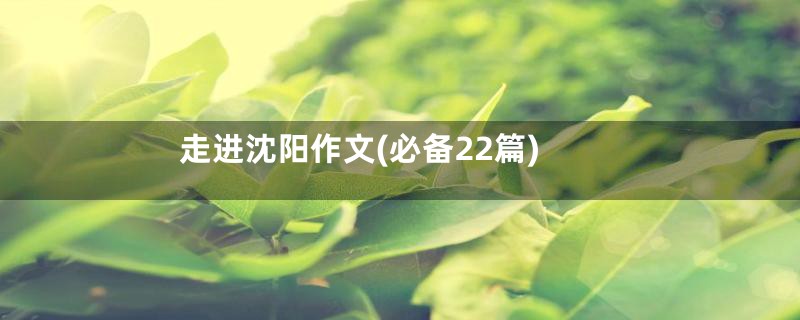 走进沈阳作文(必备22篇)