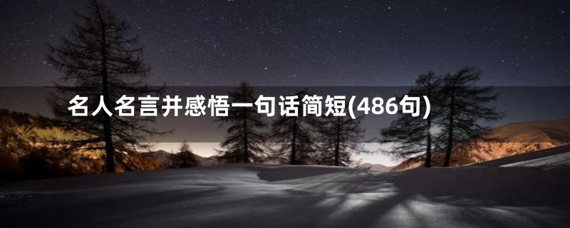 名人名言并感悟一句话简短(486句)