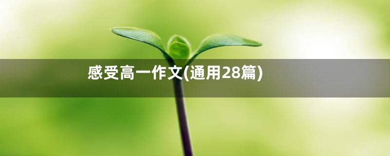 感受高一作文(通用28篇)