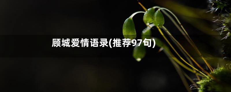 顾城爱情语录(推荐97句)