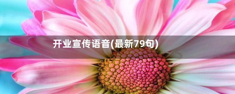 开业宣传语音(最新79句)