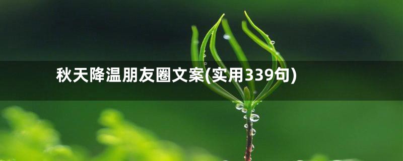 秋天降温朋友圈文案(实用339句)