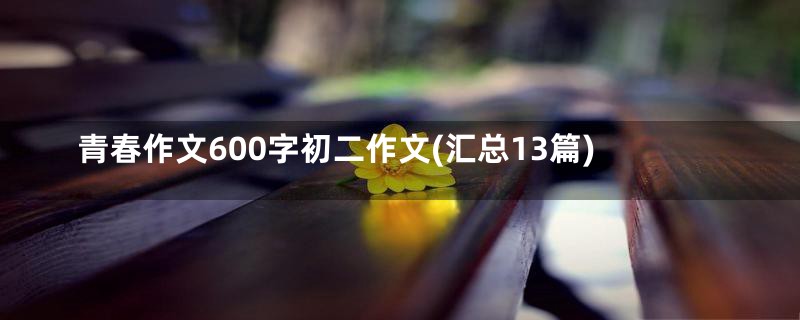 青春作文600字初二作文(汇总13篇)