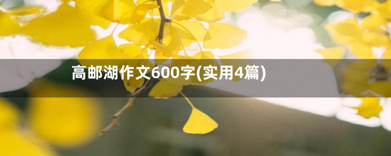 高邮湖作文600字(实用4篇)