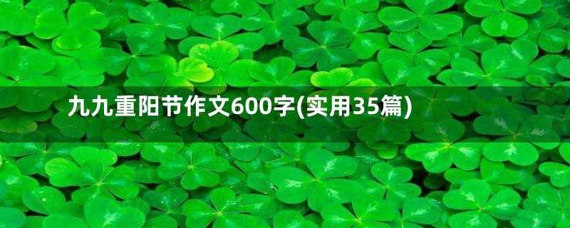 九九重阳节作文600字(实用35篇)