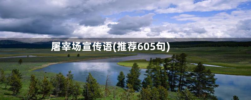 屠宰场宣传语(推荐605句)