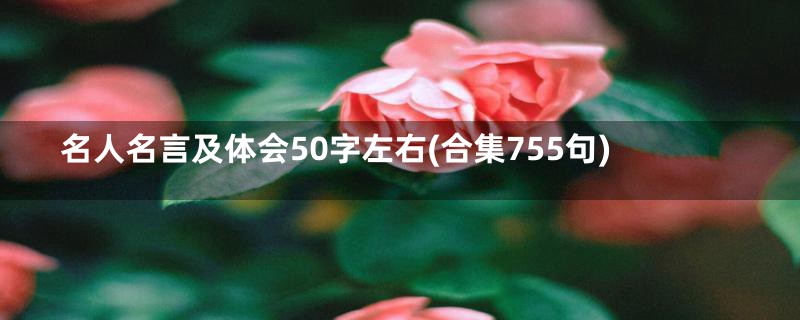 名人名言及体会50字左右(合集755句)