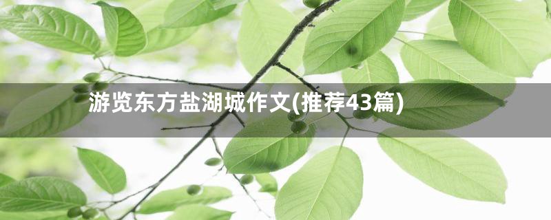 游览东方盐湖城作文(推荐43篇)