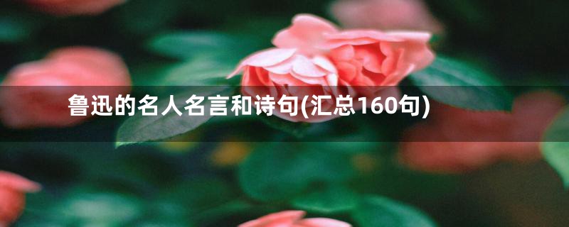 鲁迅的名人名言和诗句(汇总160句)