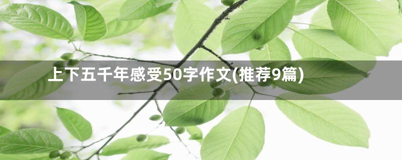 上下五千年感受50字作文(推荐9篇)