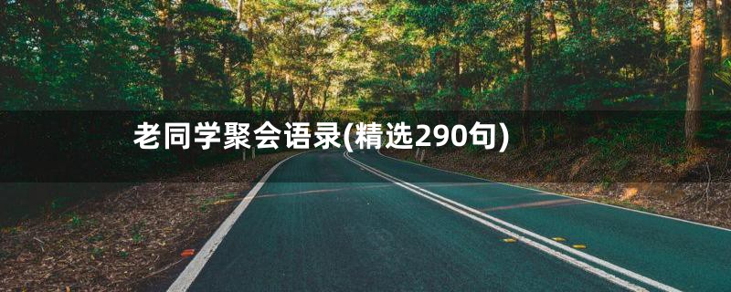 老同学聚会语录(精选290句)