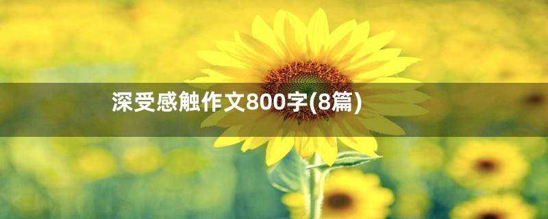 深受感触作文800字(8篇)