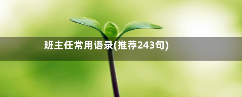 班主任常用语录(推荐243句)