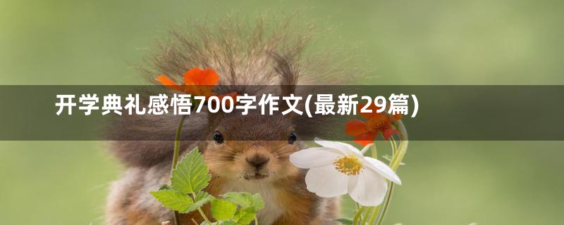 开学典礼感悟700字作文(最新29篇)