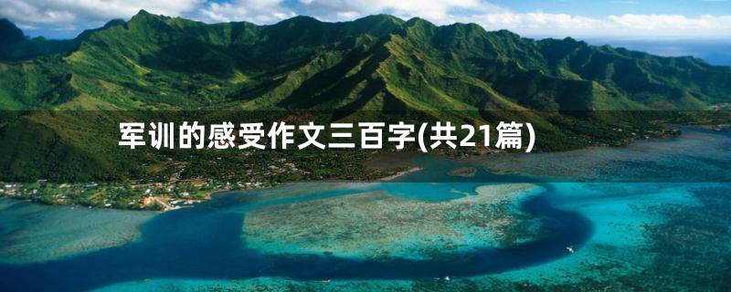 军训的感受作文三百字(共21篇)