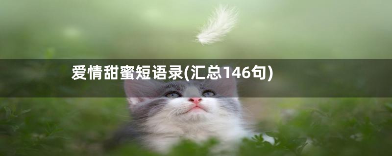 爱情甜蜜短语录(汇总146句)