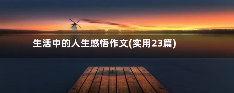 生活中的人生感悟作文(实用23篇)