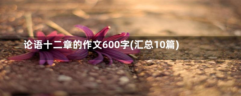 论语十二章的作文600字(汇总10篇)