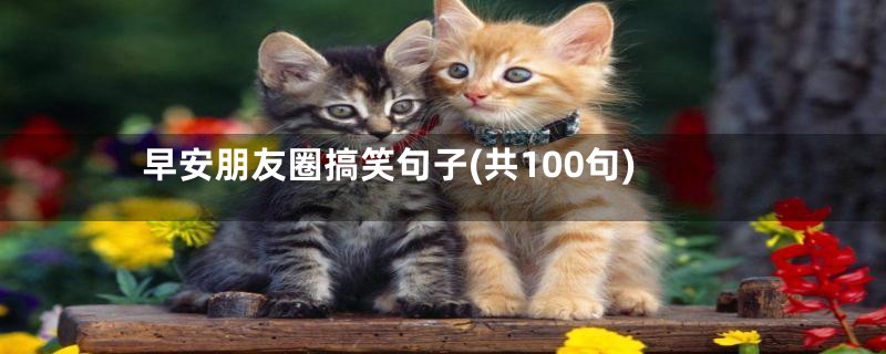 早安朋友圈搞笑句子(共100句)