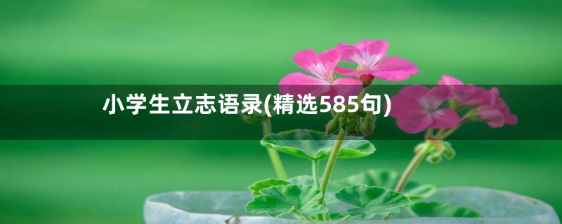 小学生立志语录(精选585句)