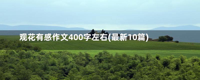 观花有感作文400字左右(最新10篇)