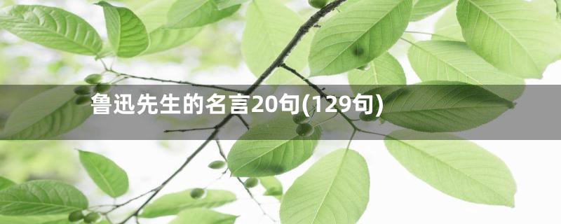 鲁迅先生的名言20句(129句)