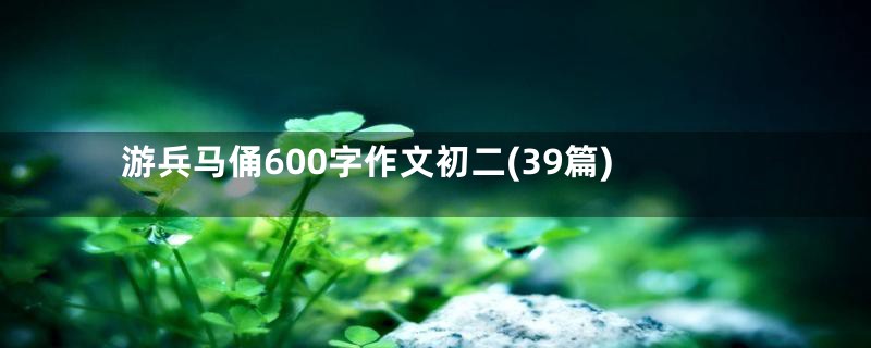 游兵马俑600字作文初二(39篇)