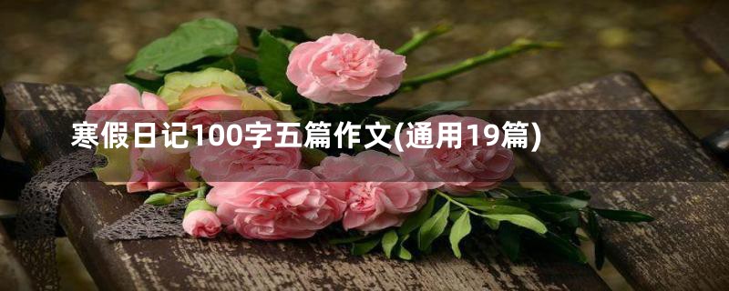 寒假日记100字五篇作文(通用19篇)