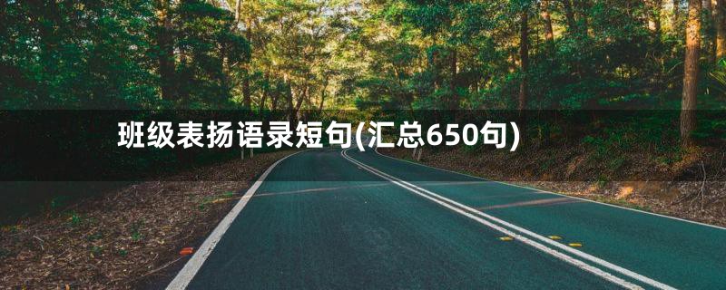 班级表扬语录短句(汇总650句)