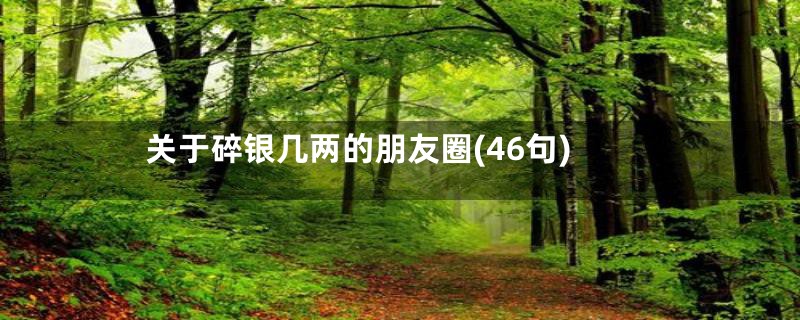 关于碎银几两的朋友圈(46句)