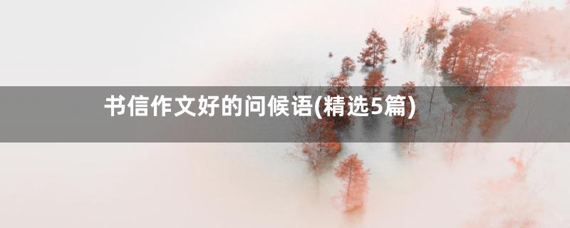 书信作文好的问候语(精选5篇)