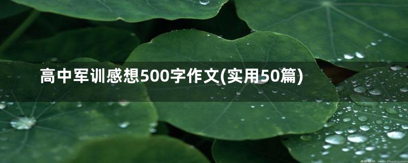 高中军训感想500字作文(实用50篇)