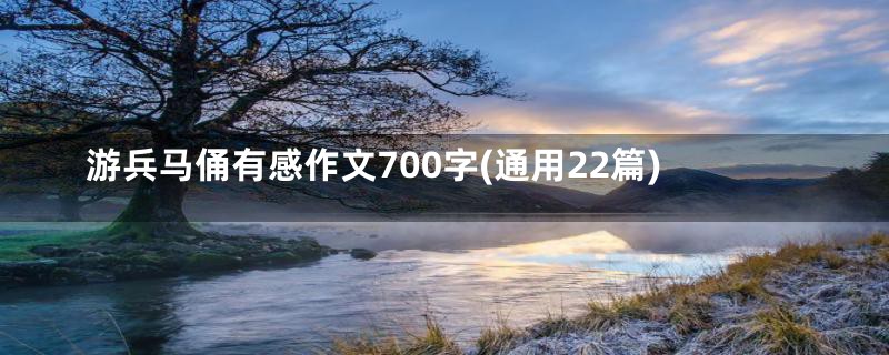 游兵马俑有感作文700字(通用22篇)