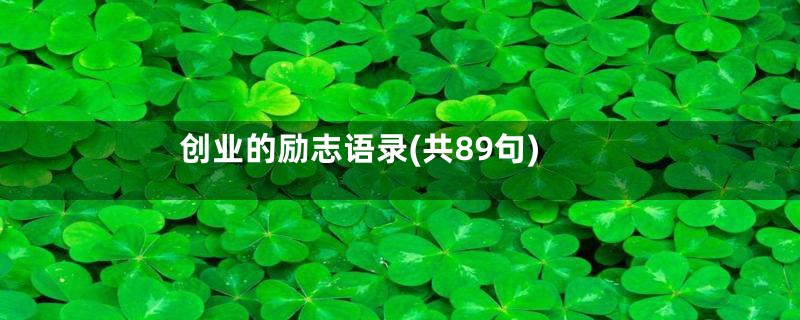 创业的励志语录(共89句)